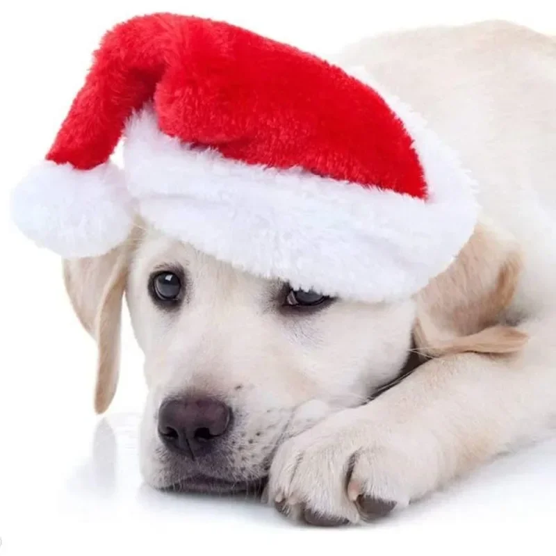 Christmas Pet Santa Hat Red Pl - Santa Hat Plush ulasan dan harga