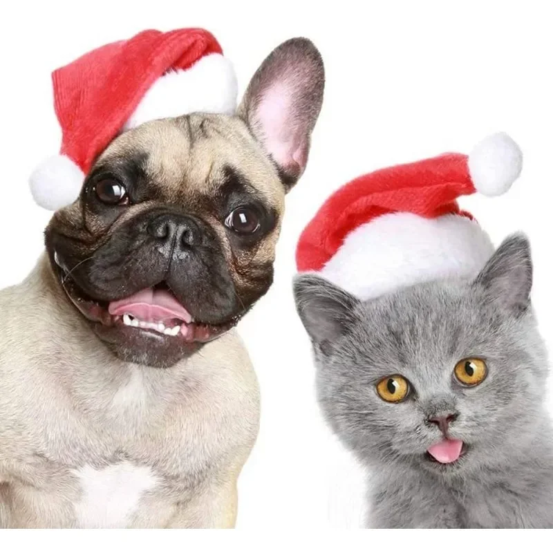 Christmas Pet Santa Hat Red Pl - Santa Hat Plush ulasan dan harga