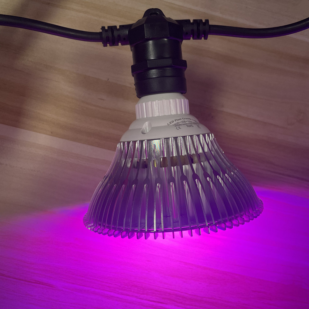 10M Cable LED String Commercia - Led Fairy String Lights ulasan dan harga